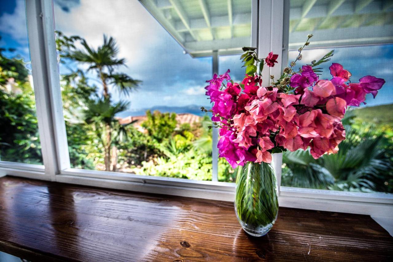 Papaya Suite At Sunset Serenade Cruz Bay エクステリア 写真